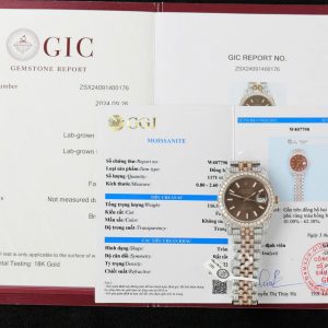 Rolex Datejust 41 Two Tone Chocolate Dial 18K Gold Plated Iced Out Moissanite Best Replica 41mm
