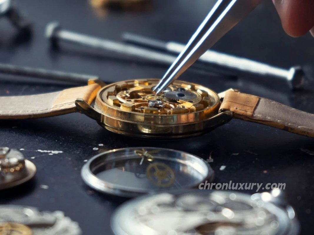 Watch Long-Term Maintenance